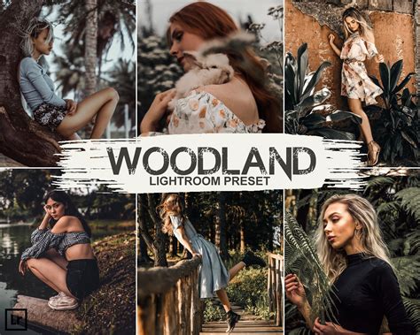 99 for 36 more presets. . Woodland presets review